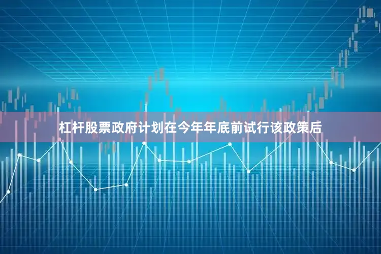 杠杆股票政府计划在今年年底前试行该政策后