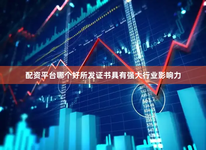 配资平台哪个好所发证书具有强大行业影响力