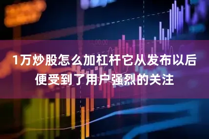 1万炒股怎么加杠杆它从发布以后便受到了用户强烈的关注